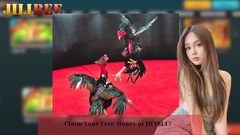 bmw88 how to win a bet easily