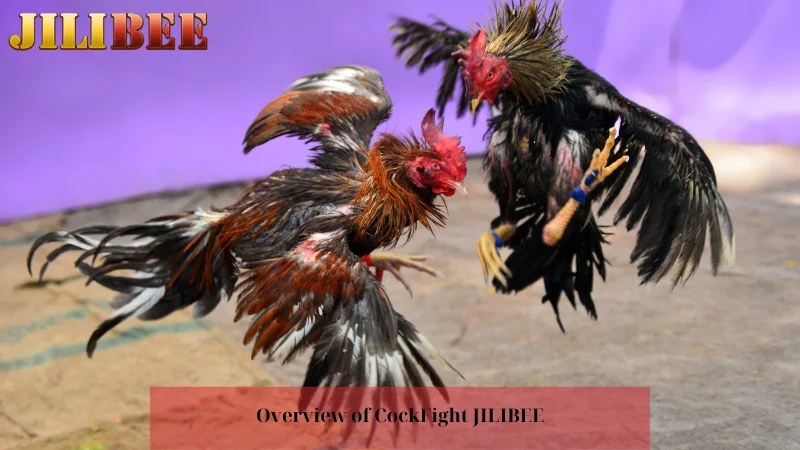 fc178 casino free 100 no deposit bonus